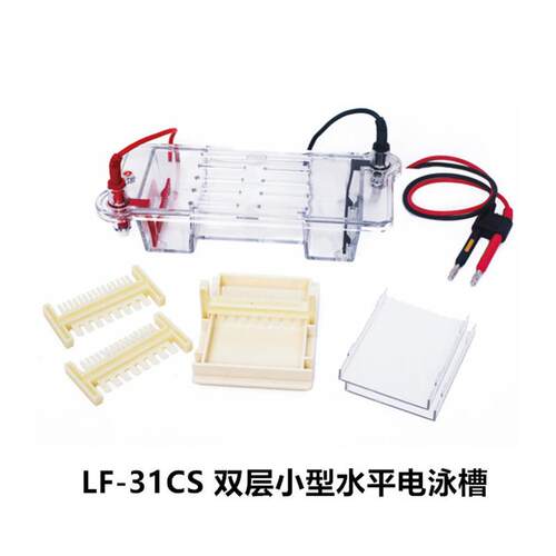龙方星钰LF-31CS双层小型水平电泳槽LF-31DS水平琼脂糖电泳槽