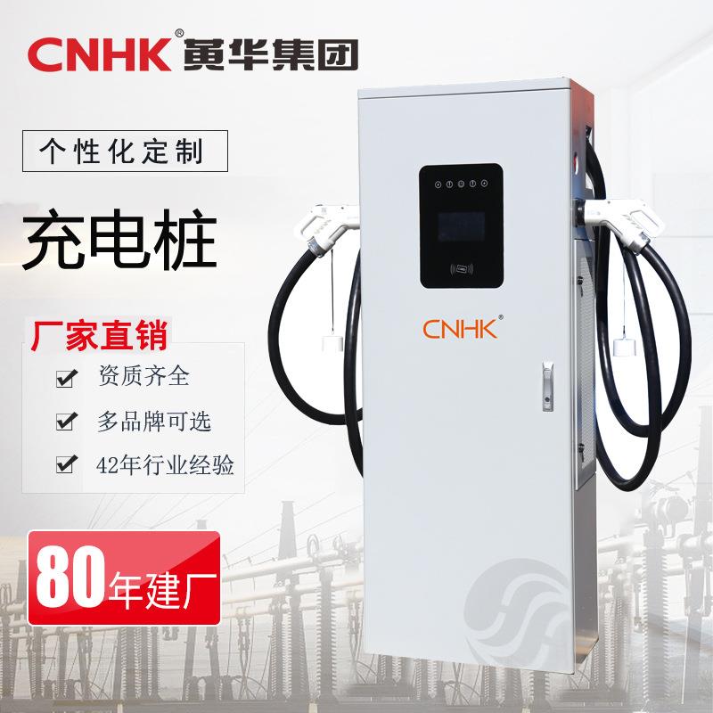 120W新能源直流充电桩汽车通用12V/24V小轿车大货车家用商用快充