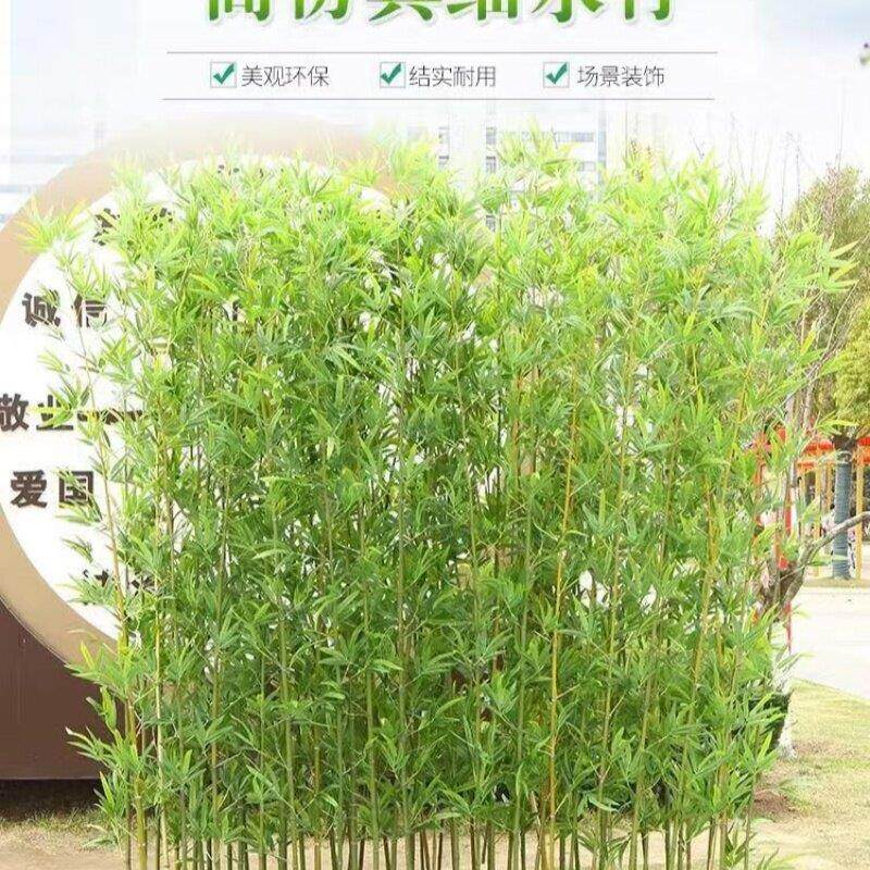 真绿植室内装饰真竹子底座隔断屏风阳台室外装饰竹子盆栽室内