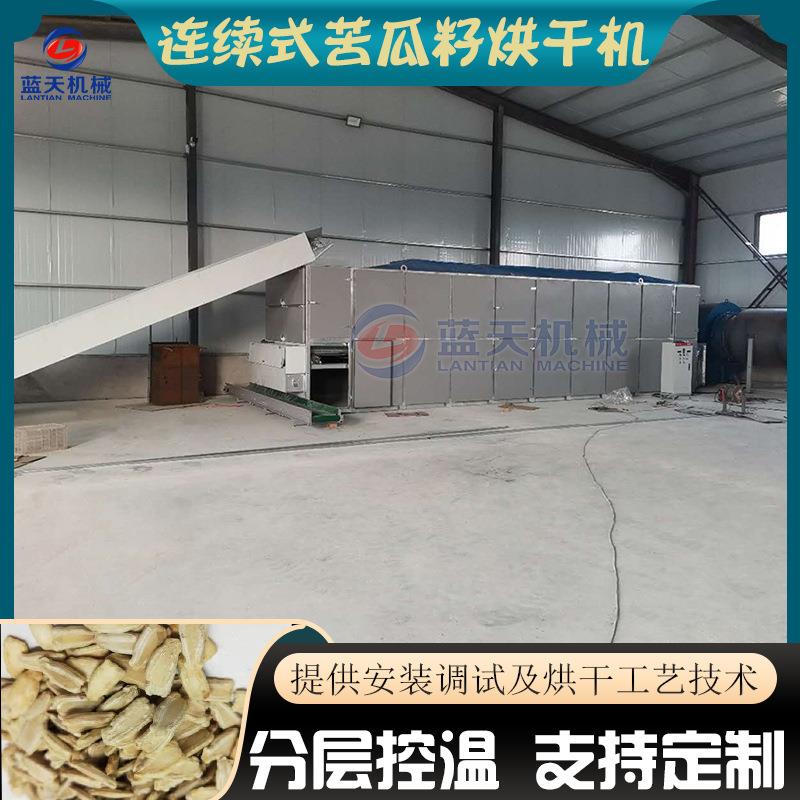 连续式苦瓜籽烘干机新疆网带葫芦籽打瓜籽烘干机南瓜子干燥设备
