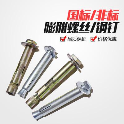 镀锌膨胀螺丝钢钉外六角内膨胀加长护栏立柱安装配件