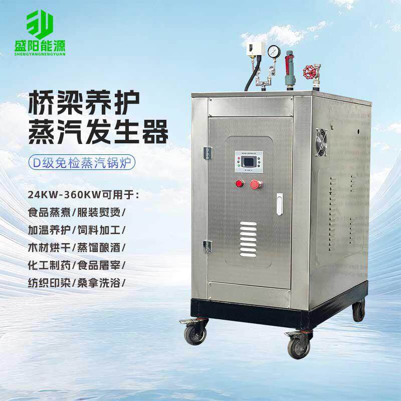 生物质蒸汽热源机D级免检蒸汽锅炉烫皮机配套设备小型蒸汽机