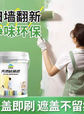 拉车套罩 反光杯洁丽屋内墙墙面改色漆水性乳胶漆净味环保涂料家