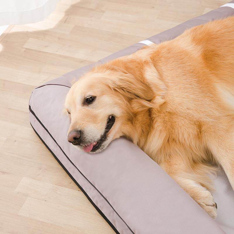 四季大狗狗窝中型大型狗狗窝垫可拆洗沙发金毛窝沙发床宠物窝批发,宠物/宠物食品及用品,狗窝/屋/帐篷/沙发,淘宝优惠券,粉丝福利购,淘宝优惠卷