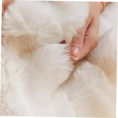 Luxury Faux Fur Blanket Warmth Super Comfortable Blankets