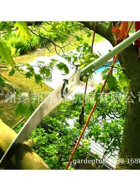 原装红狐狸Silky高枝锯365-36高空锯伐木修枝锯可伸缩园林工具