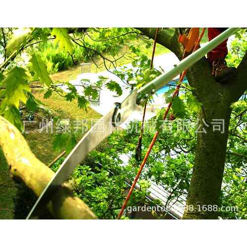原装红狐狸Silky高枝锯365-36高空锯伐木修枝锯可伸缩园林工具