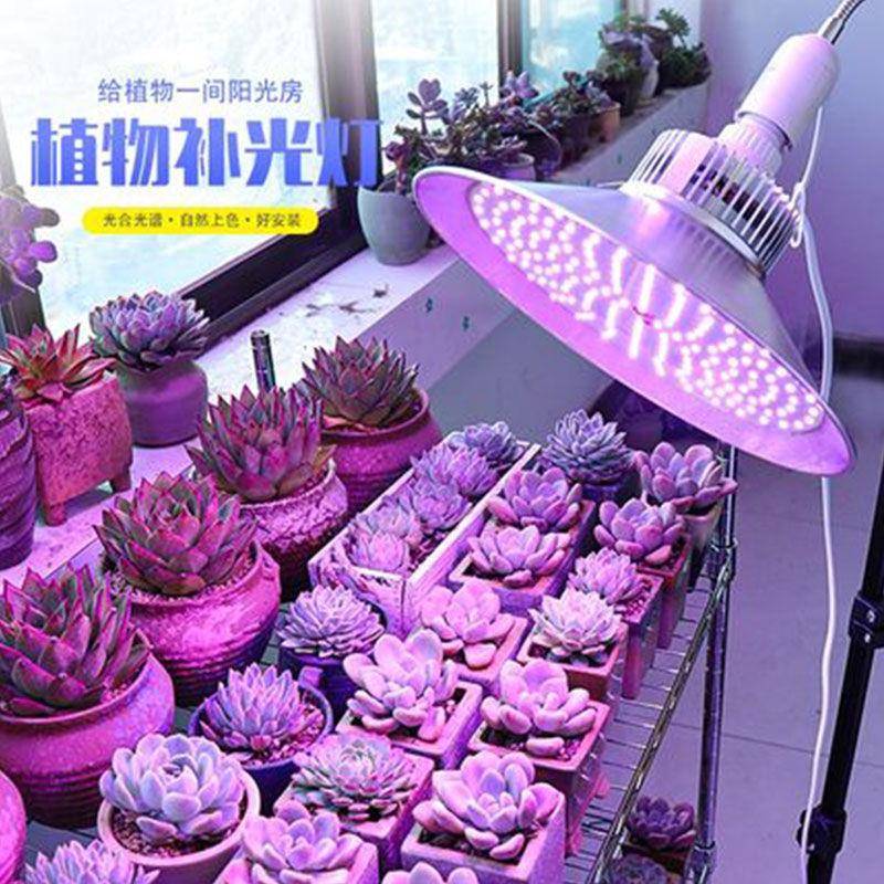 LD全光谱大棚多肉补E光灯家用草莓花卉落地长灯室NAS阳台植内物生