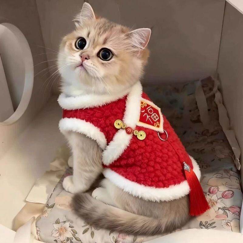 小猫咪衣服冬天新年刺绣福字背心英短布偶金渐层防掉毛加绒保暖衣