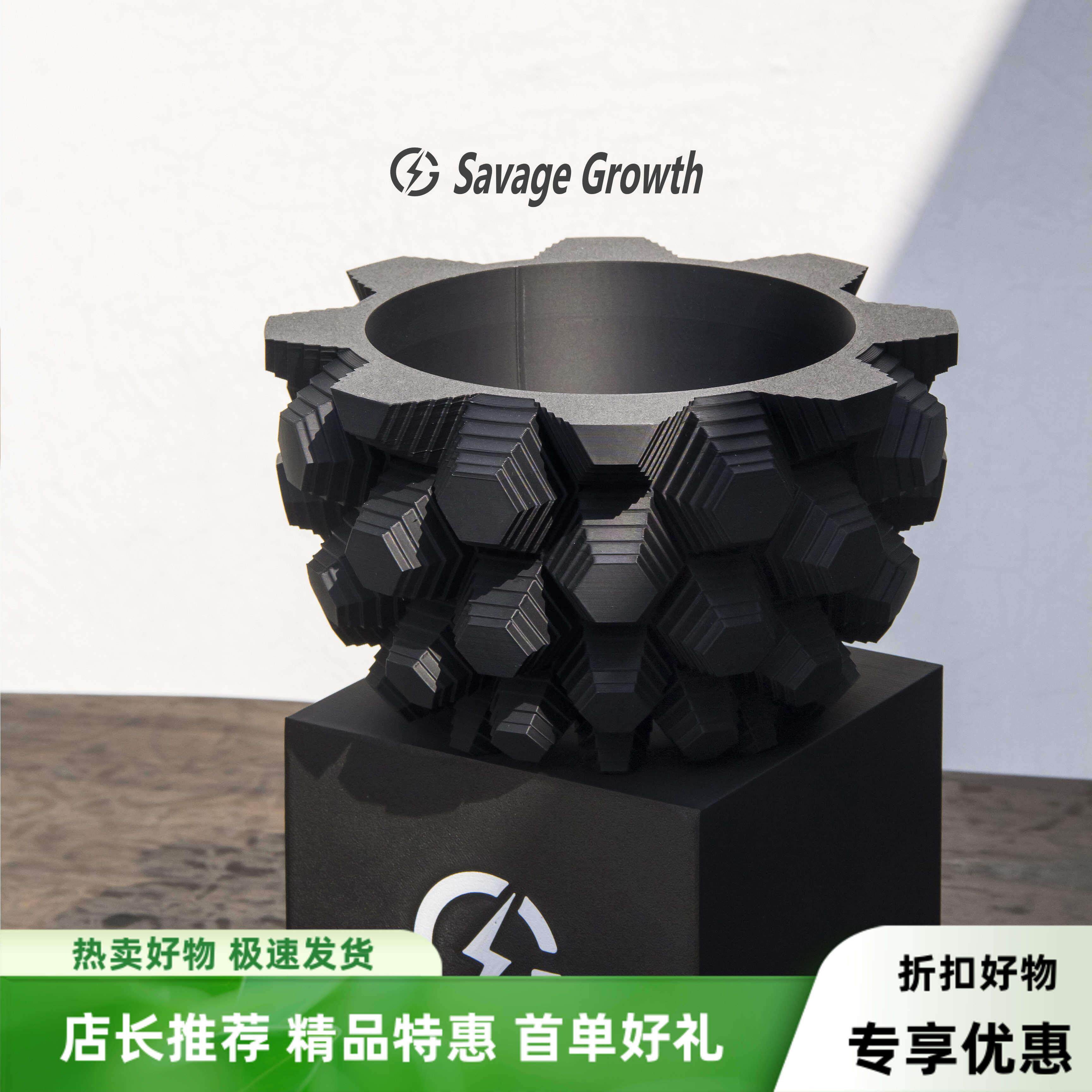 龟甲龙花盆-3D打印花盆块根植物花盆透气花盆龙舌兰花盆黑胶SG24