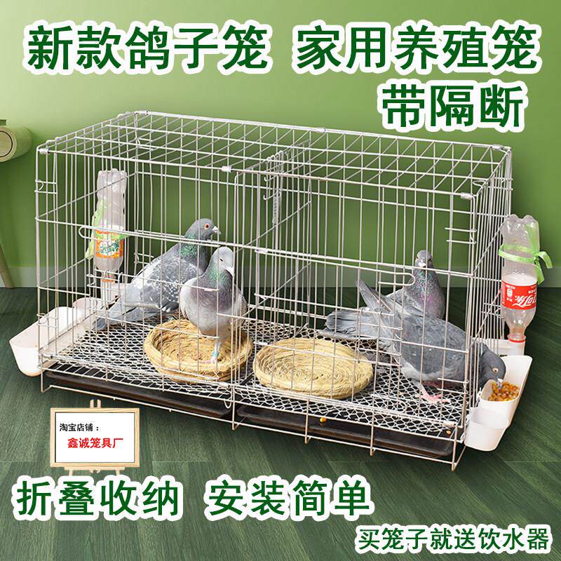 鸽子笼家用元宝鸽笼大号特大新型折叠养殖专用组装家养新款鸽子笼