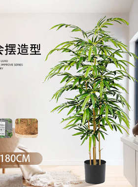 装饰假公司盆栽植葵凤尾仿真开业绿装饰酒店人造常绿葵竹子仿真竹