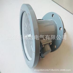 变压器指针油位计  YZF2-90 YZF2-140YZF2-200YZF2-250指针式油枕