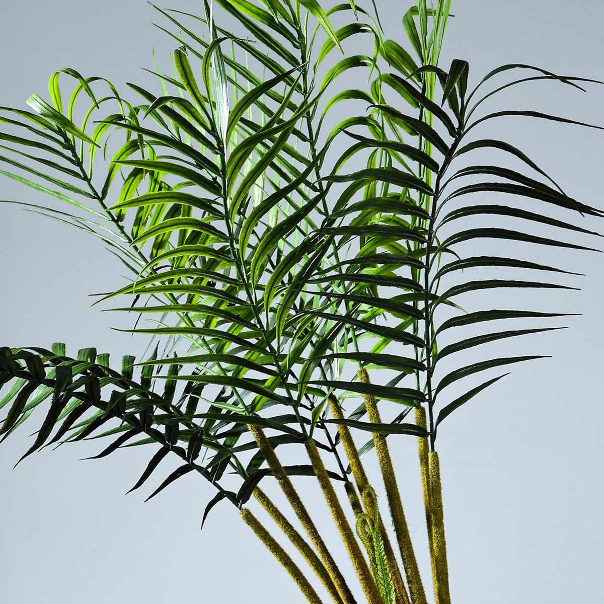 波斯蕨波斯草猴头蕨仿真绿植大型把束软装造景装饰植物盆栽摆件