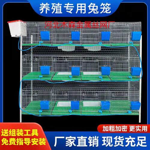 加粗加密兔子笼母兔笼子家用热镀锌免清粪兔笼专业专用养殖繁殖笼