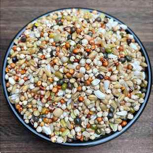 育雏A级喷窝鸽粮小颗粒鸽粮营养斑鸠鸽饲料幼鸽粮5斤装