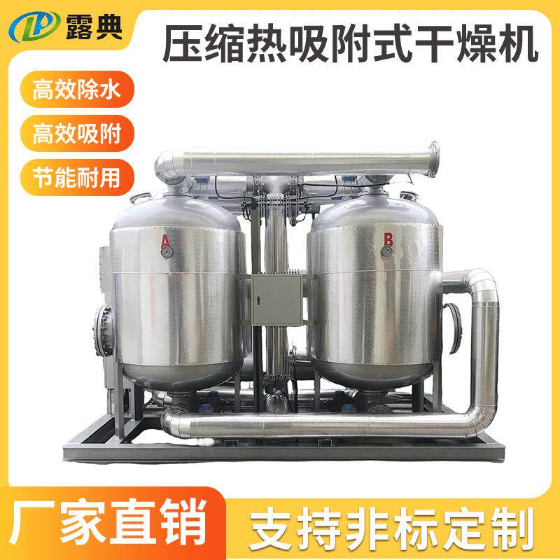 露典50立方压缩热零耗气吸干机吸附式复合再生空气净化过滤设备