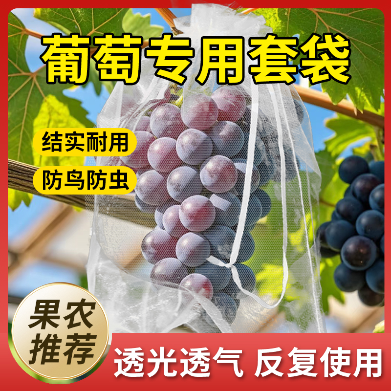 葡萄套袋专用袋子水果草莓防虫防鸟神器纱网袋阳光玫瑰保护袋套袋