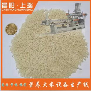重塑自热设米饭生产线速食米饭CY75生产设备人造方线米便饭加工备
