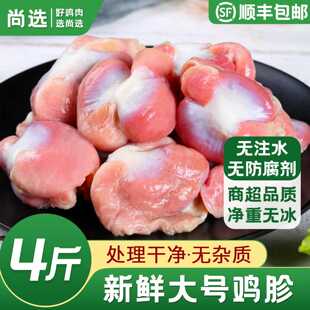 大号鸡胗新鲜冷冻商用生鲜鸡杂鸡心鸡肫郡肝内脏卤味烧烤食材