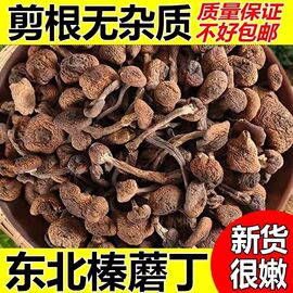 东北野生榛蘑干货小鸡，炖蘑菇新货商用榛蘑，长白山土特产无根榛蘑丁