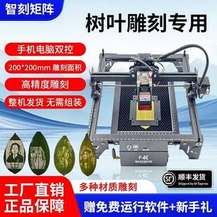 叶雕机树叶激光雕刻机小型全自动摆摊叶子打印照片机器激光打标机