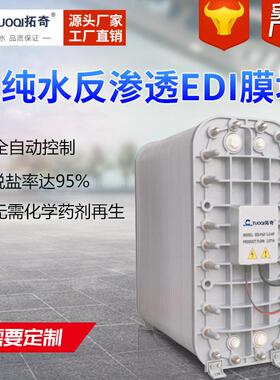 EDI超纯水设备高纯水EDI模块超纯水反渗透EDI膜堆去离子设备