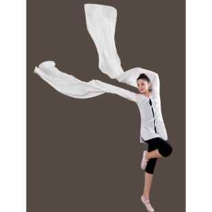 正品新款杭纺纺丝水袖专舞业男男士真水袖古典舞蹈戏曲演出服黑色