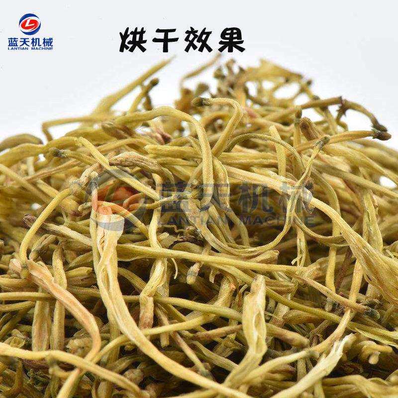 大型金银花烘干机 山银花烘干机全自动 二花金银花茶除湿烘干设备