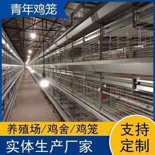自动化层叠青年鸡鸡笼立式养殖设备养殖场用鸽子笼鹌鹑笼厂家
