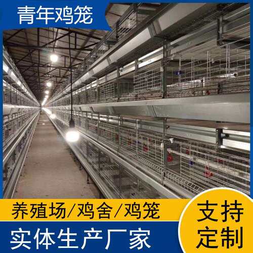 自动化层叠青年鸡鸡笼立式养殖设备养殖场用鸽子笼鹌鹑笼厂家