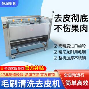 土豆去皮机商用全自动毛刷式 芋头姜红薯莲藕马蹄电动清洗削脱皮器