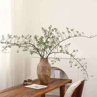 山归来鲜切干树枝侘寂风干花高级感真花客厅装饰花瓶插花天然植物