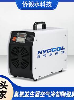 现货手提便携式臭氧发生器移动式养殖场水处理空气冷却陶瓷臭氧板