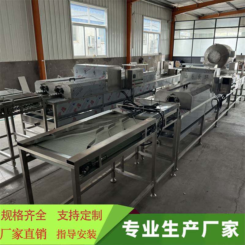 单排全自动洗蛋机畜牧养殖业鸭蛋鹅蛋去污去泥清洗机器蛋品清洗机