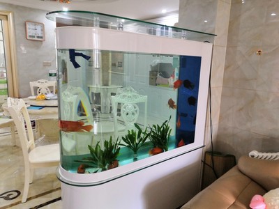 说真心话德克鱼缸怎么样，通过体验7个月反馈真相