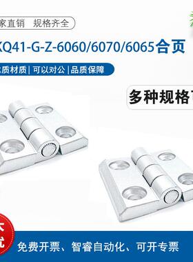 AKQ41-G-Z-6065/6060/6070 型材通用配件铰炼3040铰炼E-HFR50-65