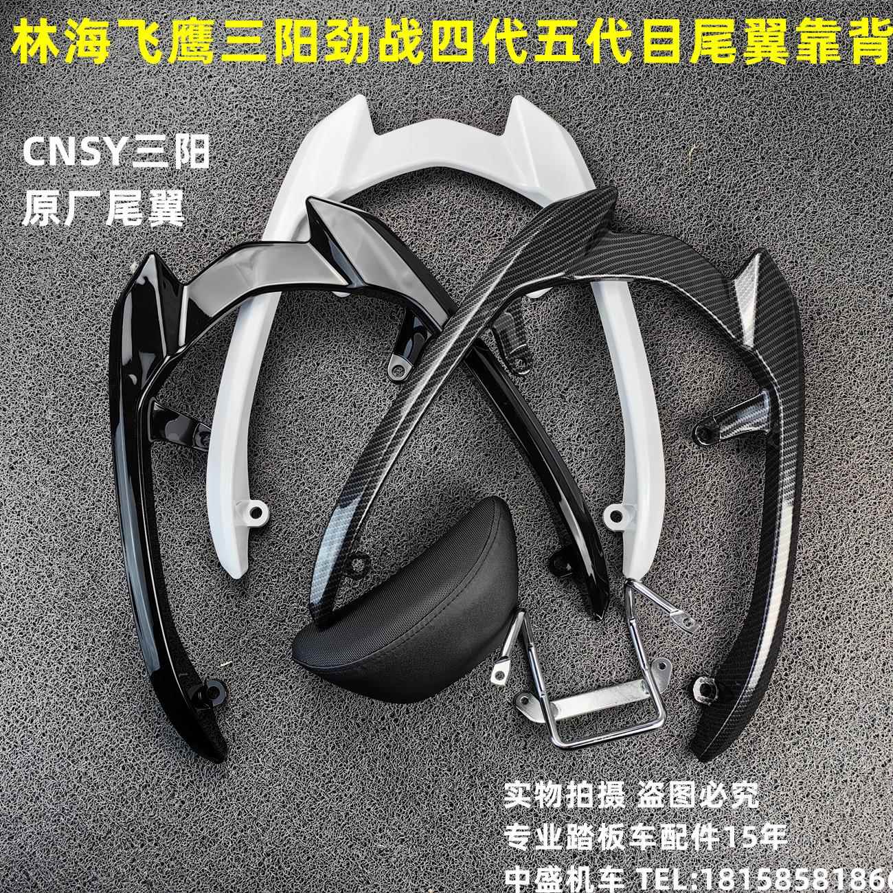 CNSY三阳F1飞鹰林海劲战四代目摩托车后货架油改电后扶手靠背尾翼