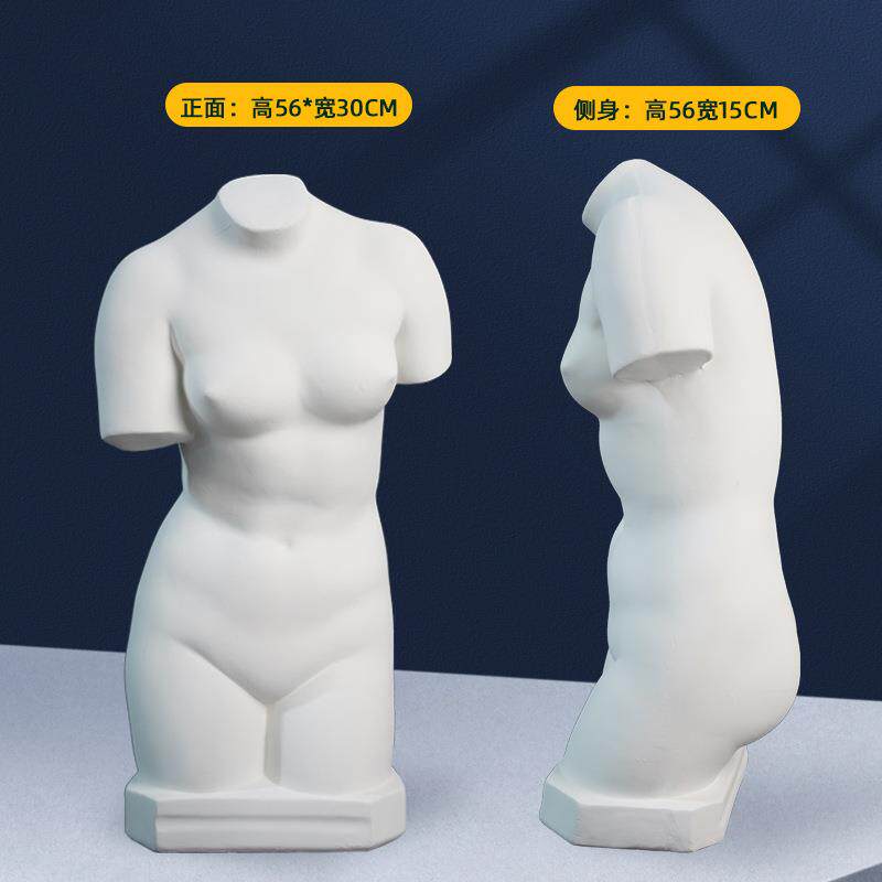 绘岳56cm少女躯干美术石膏人物头像素描石膏像胸像写生美术室配套