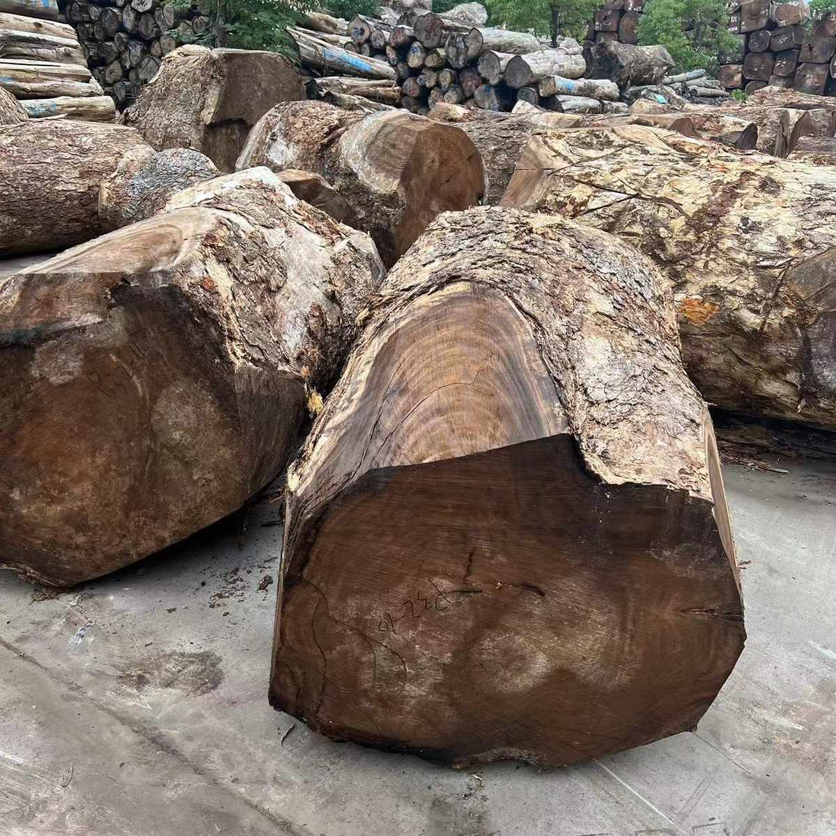 南美胡桃木 原木板材 雨木毛板大板家具料 批发零售琥珀木