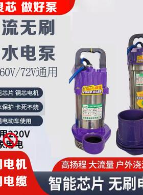 直流无刷潜水泵48V60V72V通用无刷智能抽水泵高扬程大流量