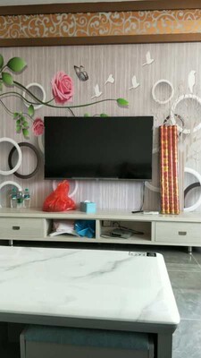 来比下电视TCL55T6M和海信55E52D哪个好，优缺点区别是？