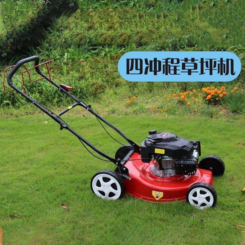 厂家现货手推式草坪机 小型家用自走剪草机 果园园林汽油型割草机