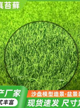 仿真苔藓绿色青苔草坪仿真草皮背景墙diy盆景绿植装饰人造假青苔