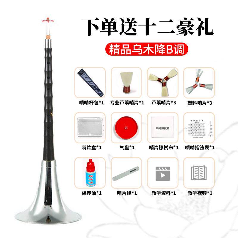 正品专精品乌木片唢呐初学业者d调降奏B演乐器喇叭锁呐哨配件全套