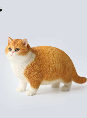 JXK肥猫模型 仿真狸花猫咪玩偶公仔手办橘猫桌面摆件小饰品礼物
