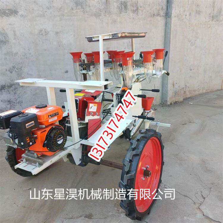 座驾式栽苗种植机 自走式两行蔬菜移栽机 农用无土苗钵苗栽种机