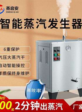 小型全自动电加蒸汽发生商用器工业熨烫机油煮豆浆腐榨蒸气锅ZQA-