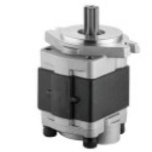 齿轮泵CPC30.5.18 CPC30. CPC30.5.18