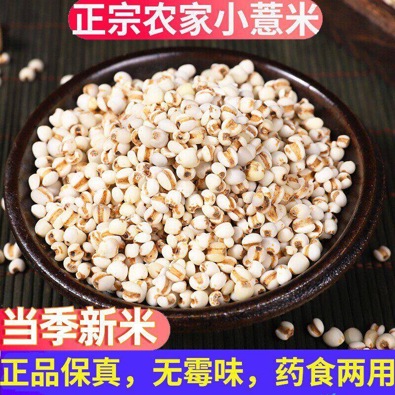 正宗小薏米除湿贵州兴仁农家新鲜生小薏仁米中药材用新货2025新米